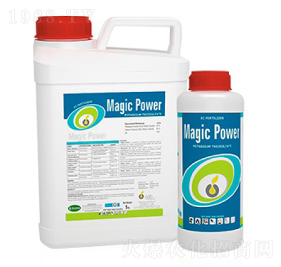 Magic Power-ָ