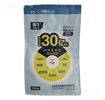 1000g΢-ţ-޺